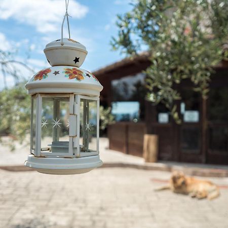 Villa De Luccheri Frasso Telesino Ngoại thất bức ảnh