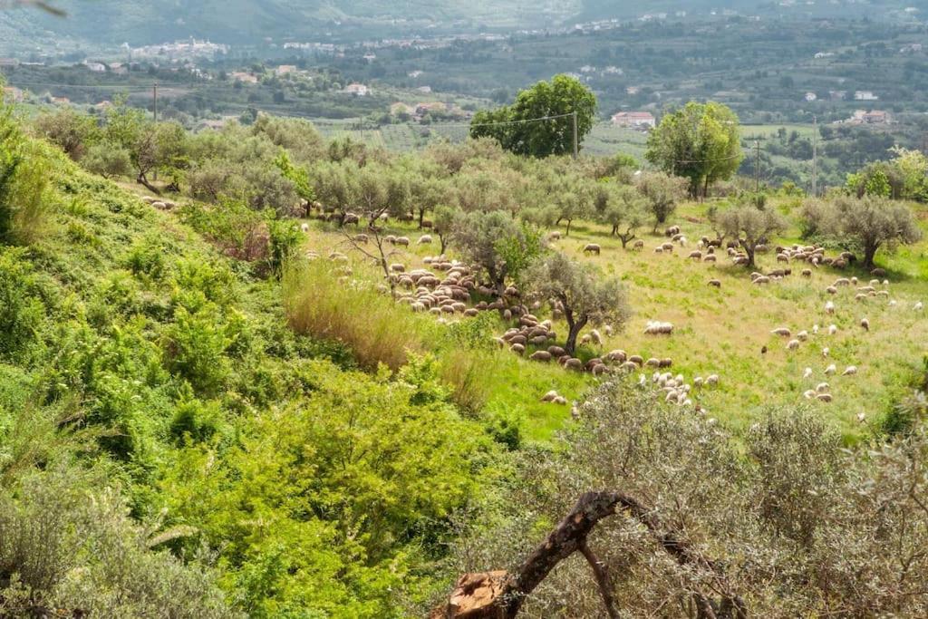 Villa De Luccheri Frasso Telesino Ngoại thất bức ảnh