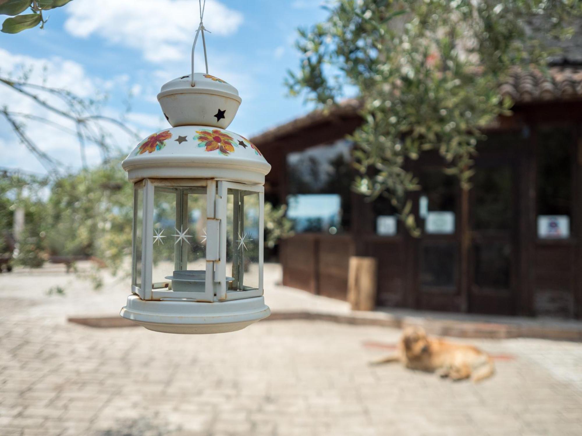 Villa De Luccheri Frasso Telesino Ngoại thất bức ảnh
