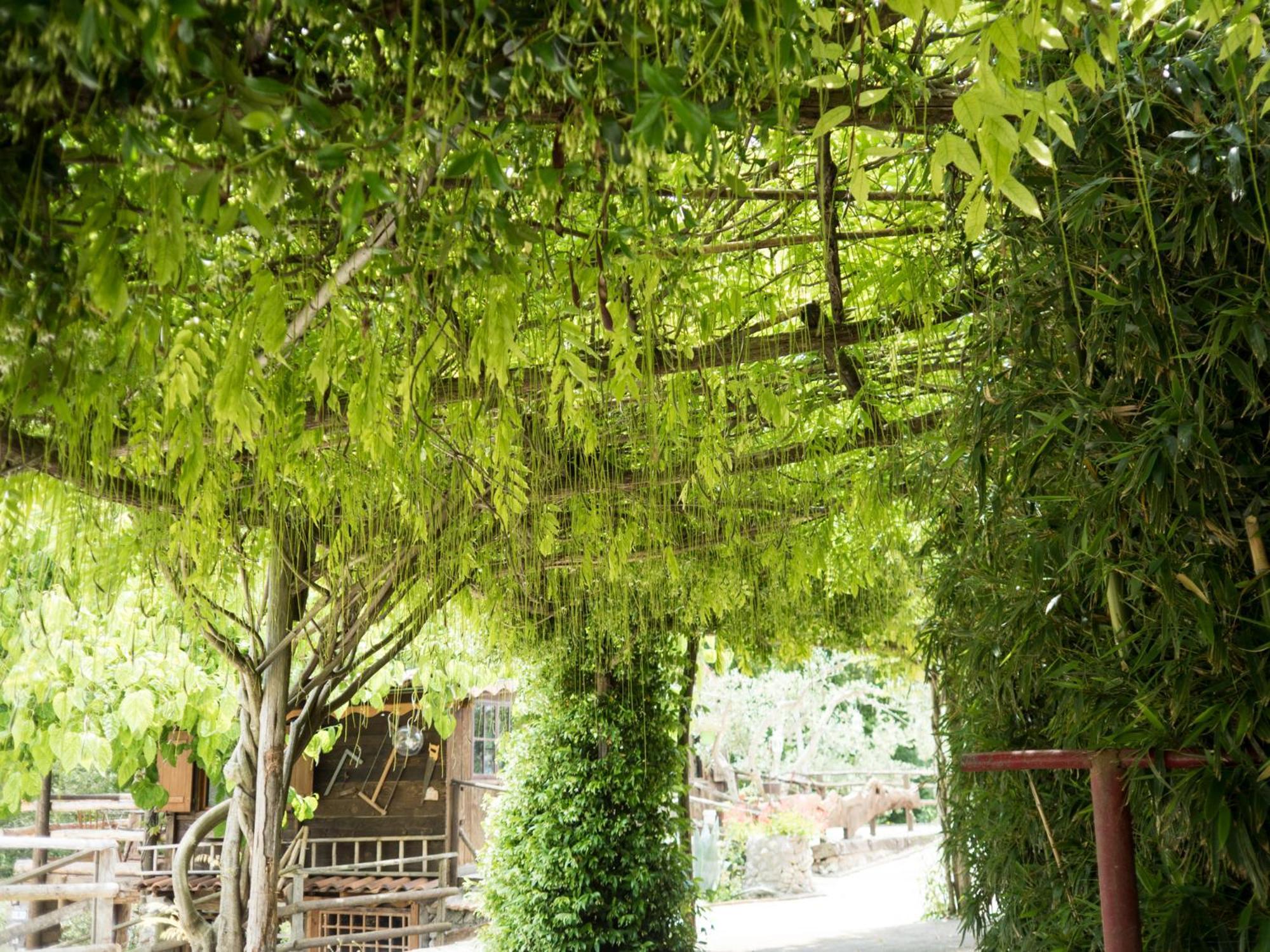 Villa De Luccheri Frasso Telesino Ngoại thất bức ảnh