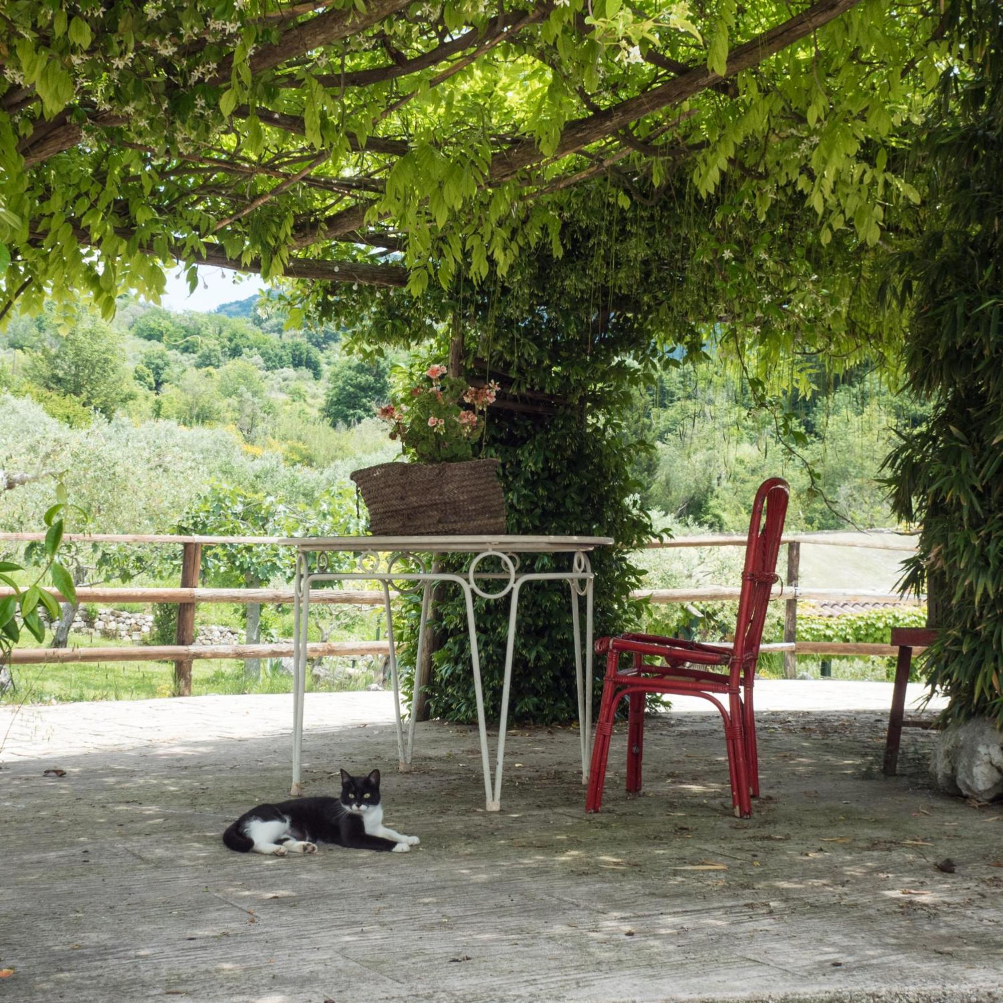 Villa De Luccheri Frasso Telesino Ngoại thất bức ảnh